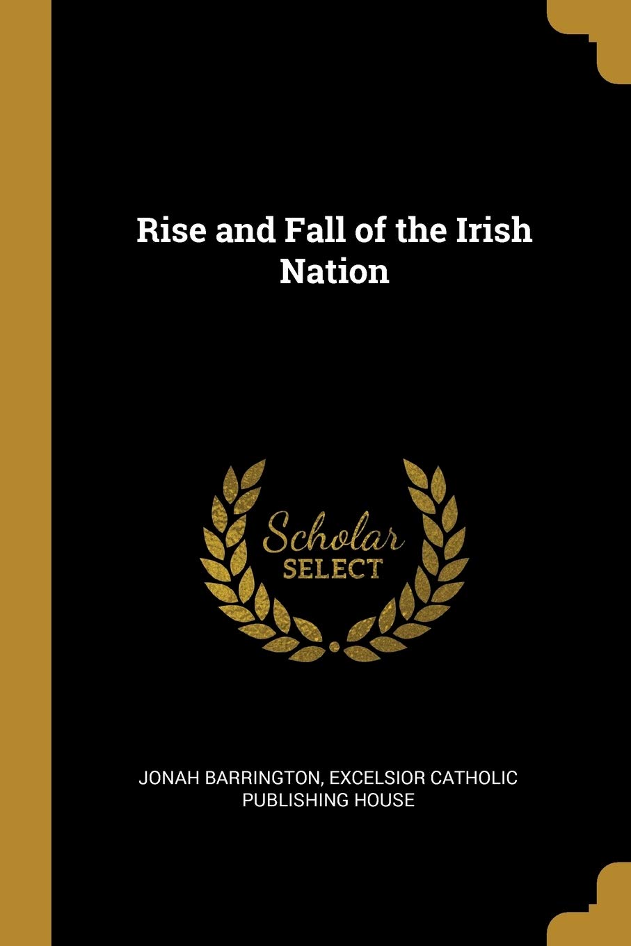 Rise and Fall of the Irish Nation Social Sciences