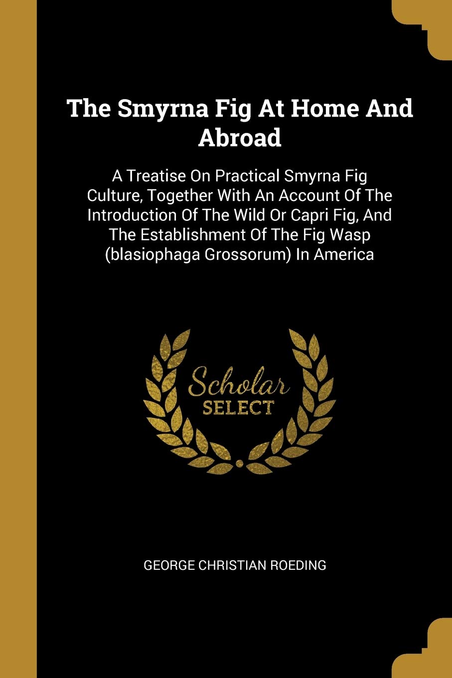 The Smyrna Fig At Home And Abroad: A Treatise On Practical Smyrna Fig Culture, Together With An Account Of The Introduction Of The Wild Or Capri Fig, ... Fig Wasp (blasiophaga Grossorum) In America book