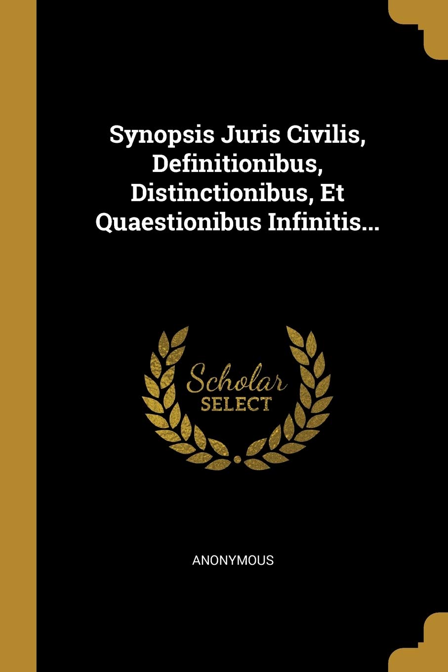 Synopsis Juris Civilis, Definitionibus, Distinctionibus, Et Quaestionibus Infinitis... book