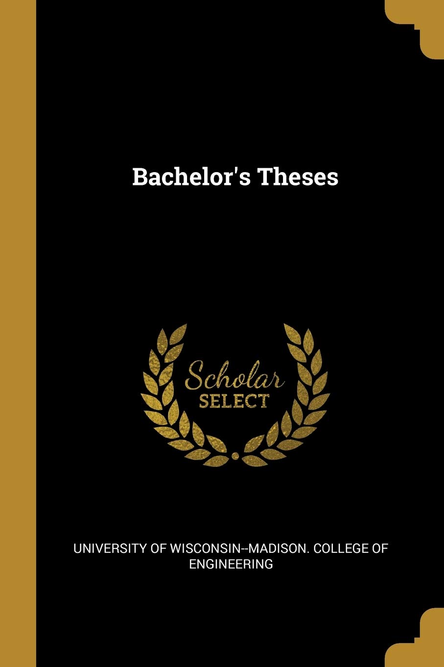 Bachelor's Theses Politics & History
