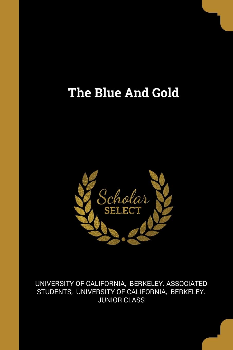 The Blue And Gold Politics & History