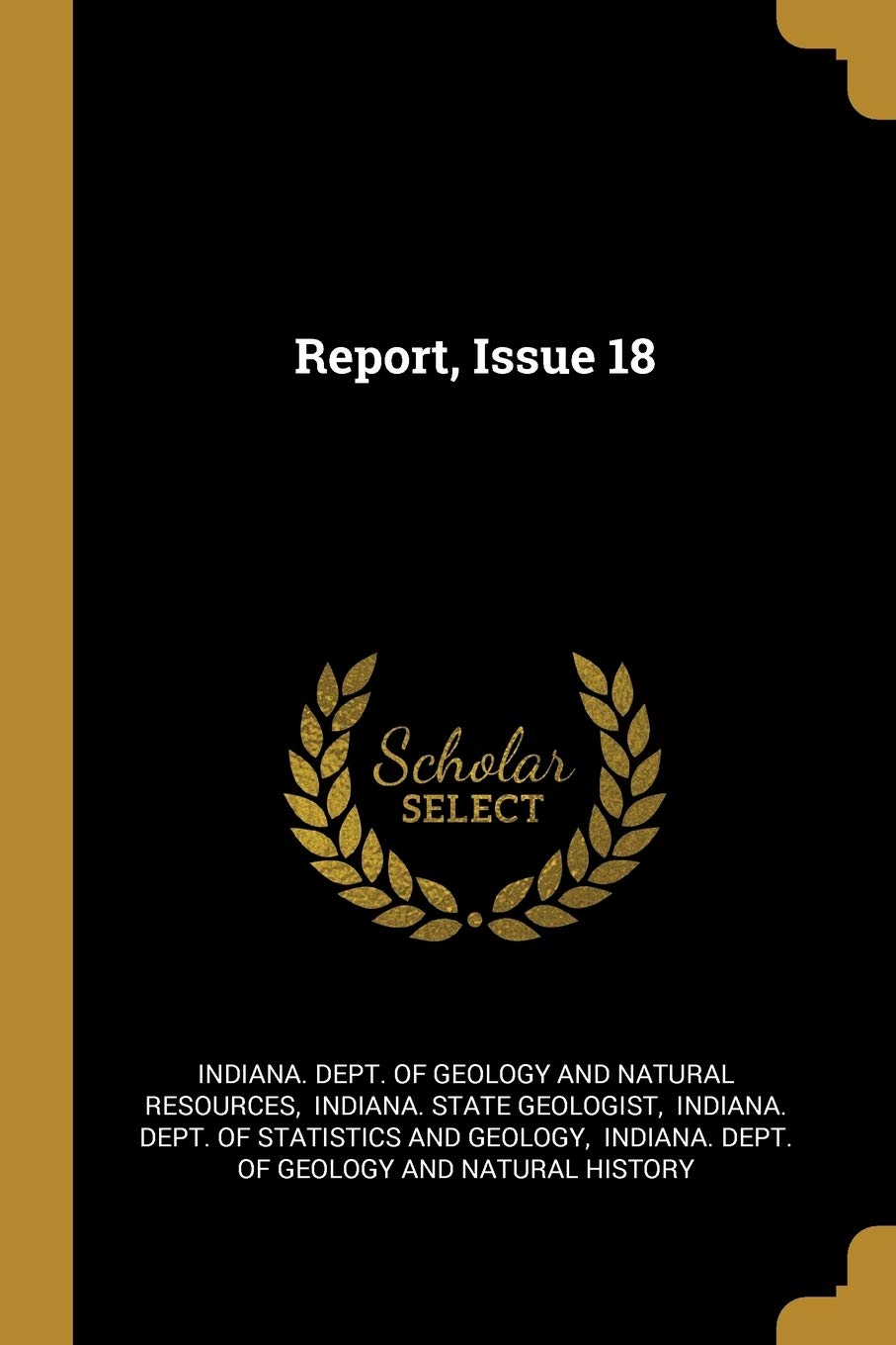 Report, Issue 18 book