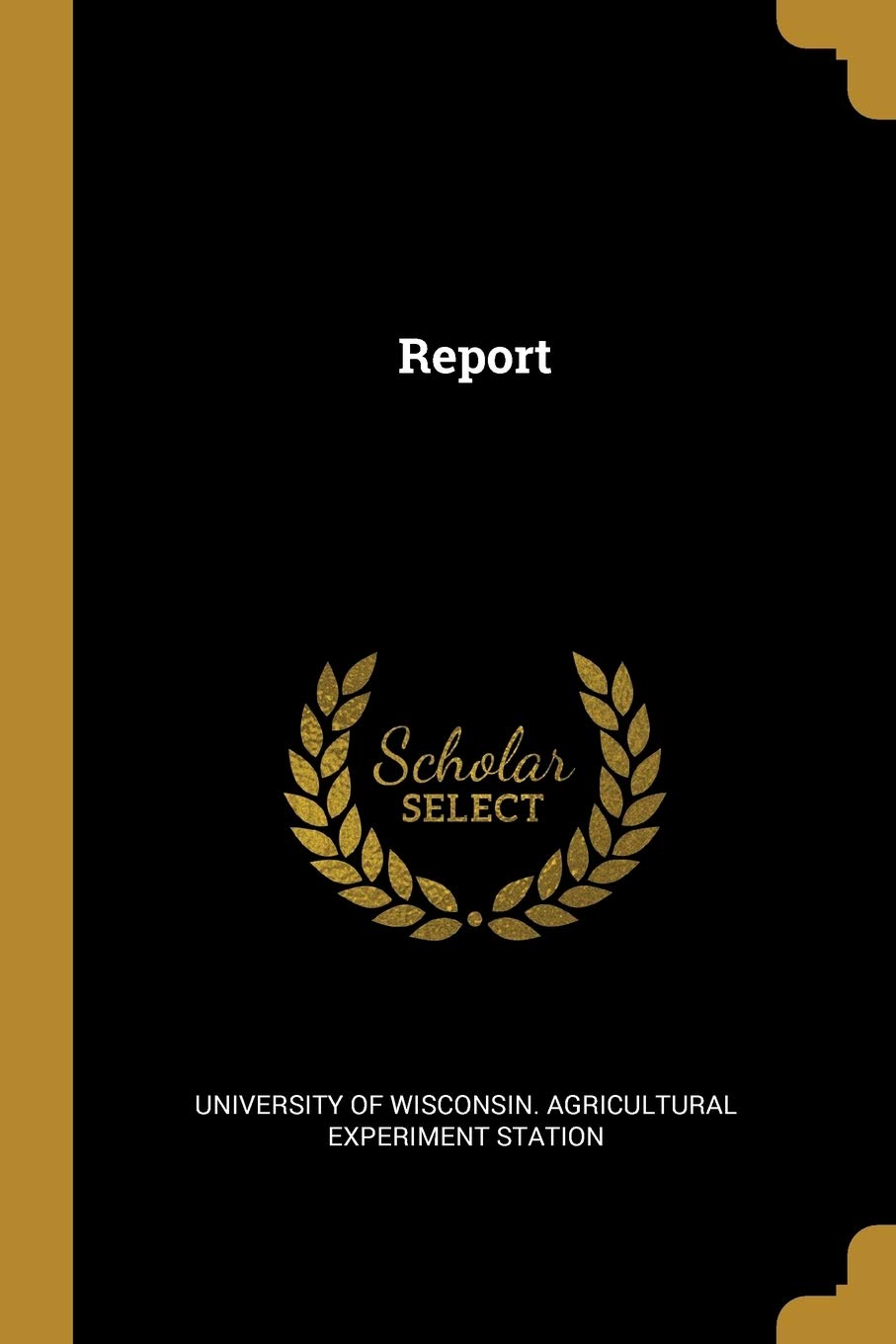 Report Politics & History