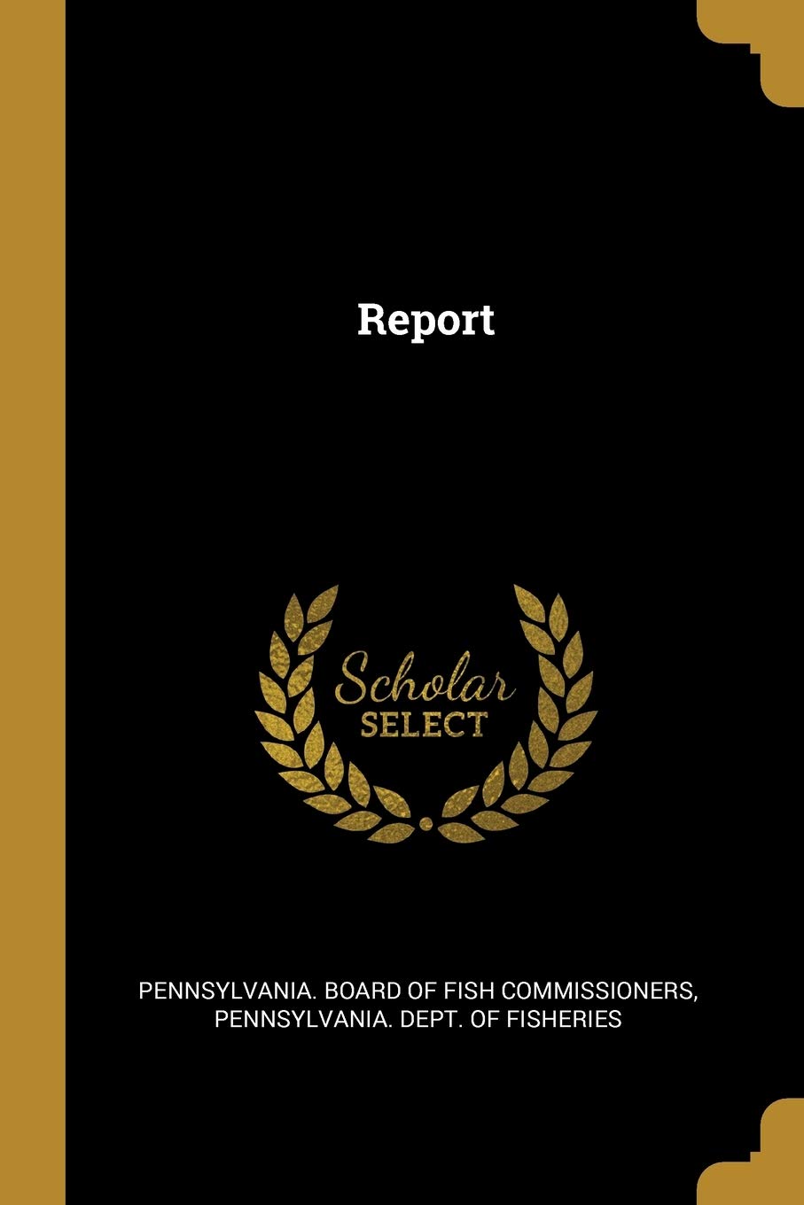 Report Politics & History