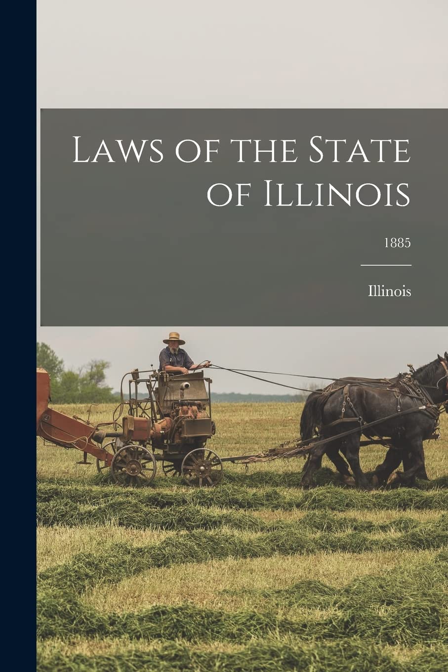 Laws of the State of Illinois; 1885 Politics & History