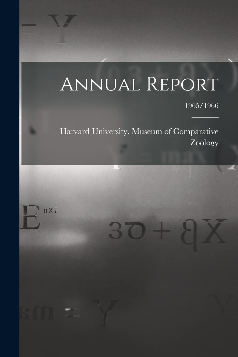 Annual Report; 1965/1966 Mathematics