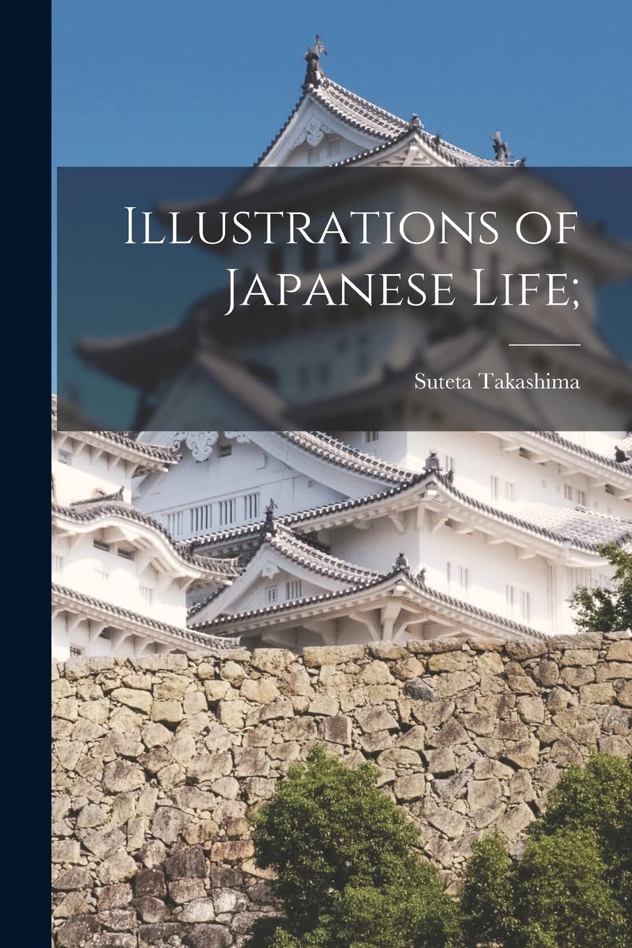 Illustrations of Japanese Life; Politics & History