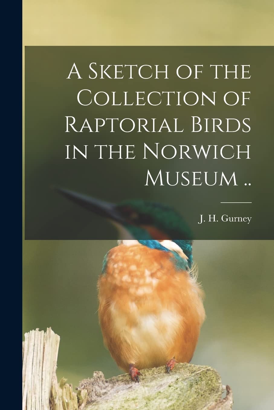 A Sketch of the Collection of Raptorial Birds in the Norwich Museum .. Natural Sciences