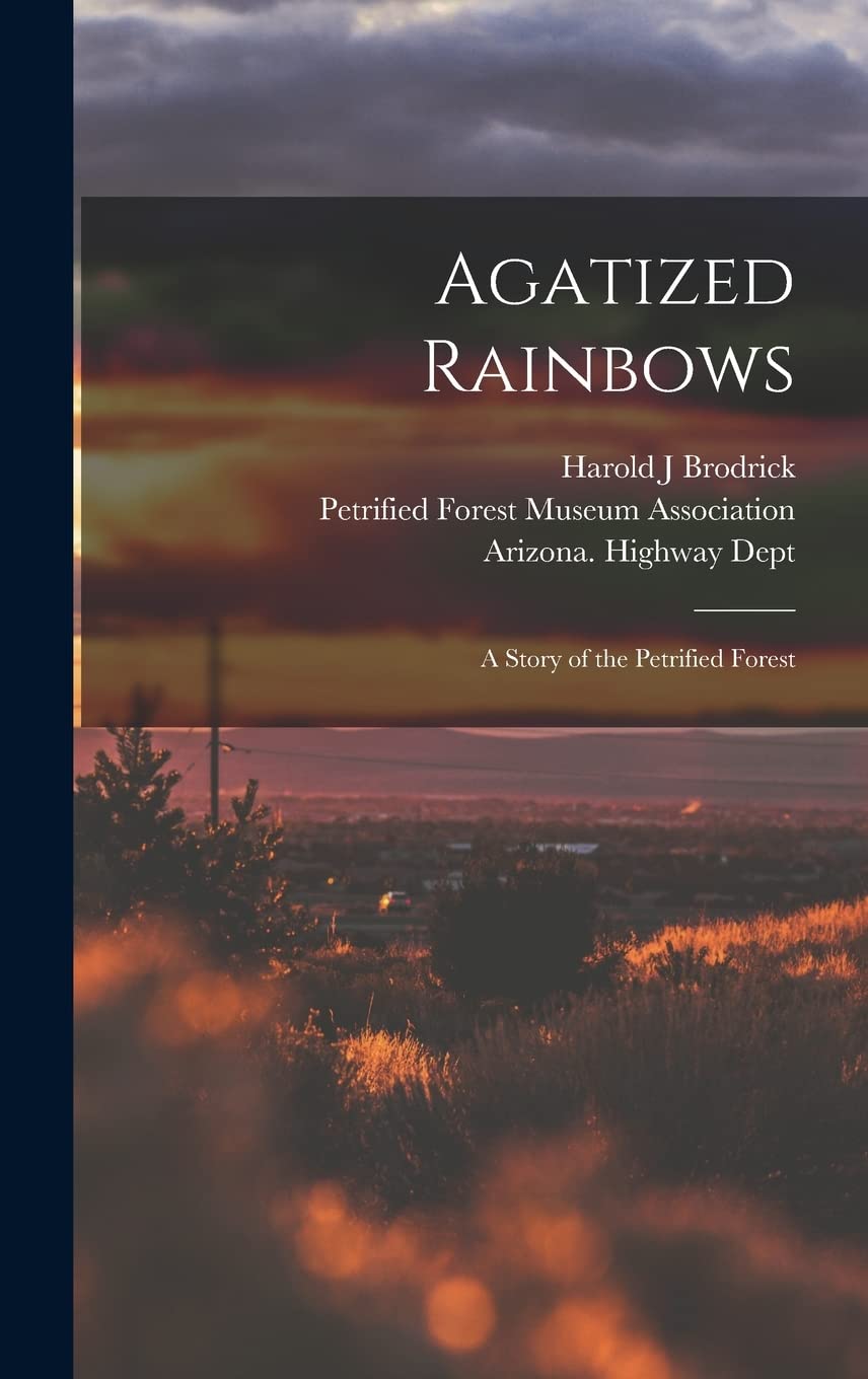 Agatized Rainbows: a Story of the Petrified Forest Philosophy