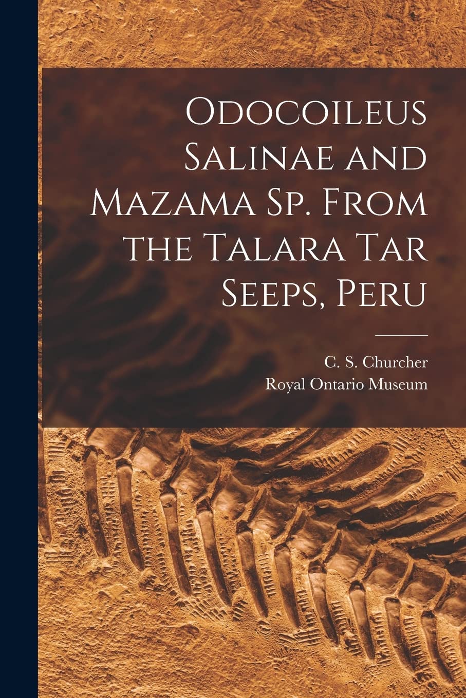 Odocoileus Salinae and Mazama Sp. From the Talara Tar Seeps, Peru Business & Technology