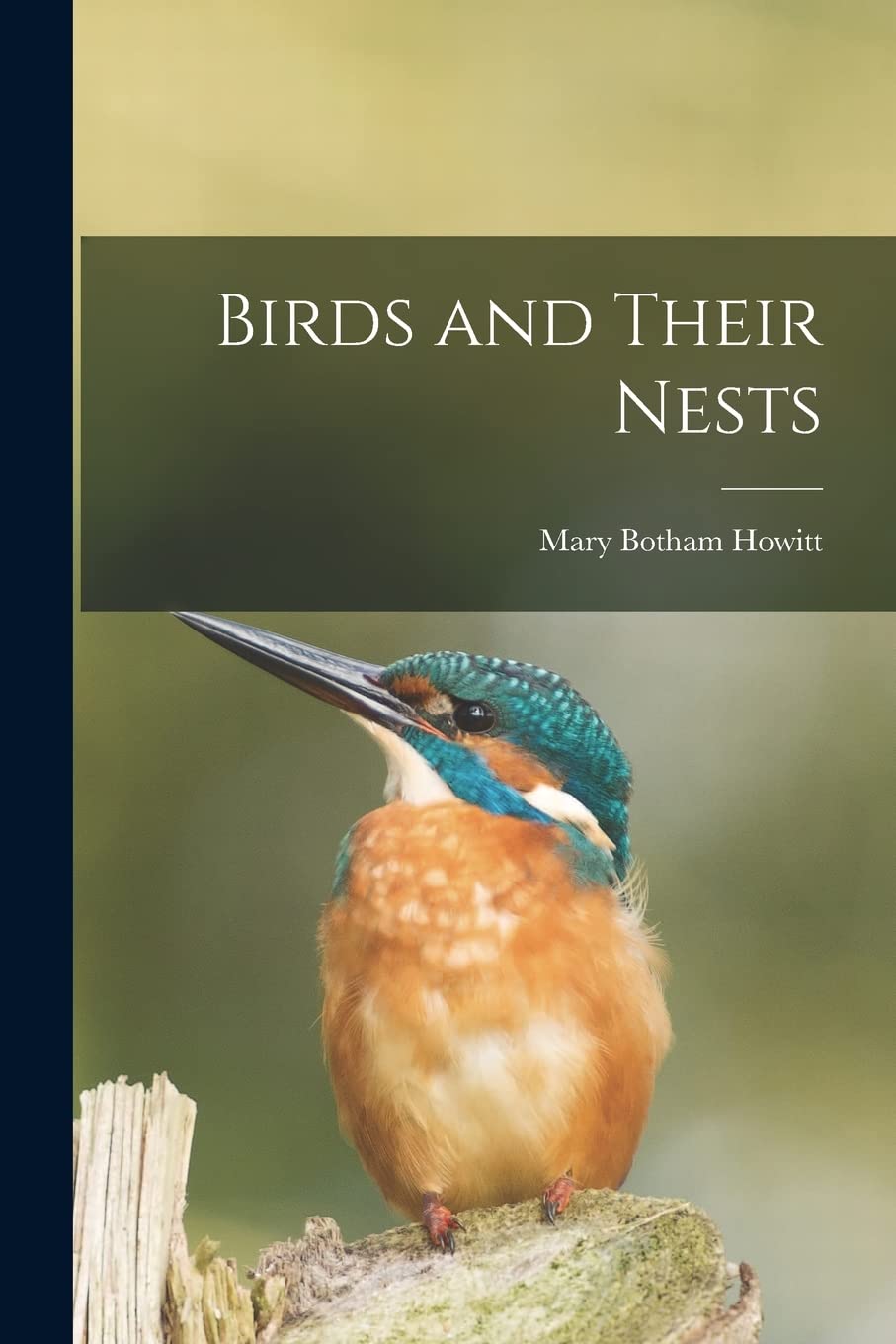 Birds and Their Nests Natural Sciences