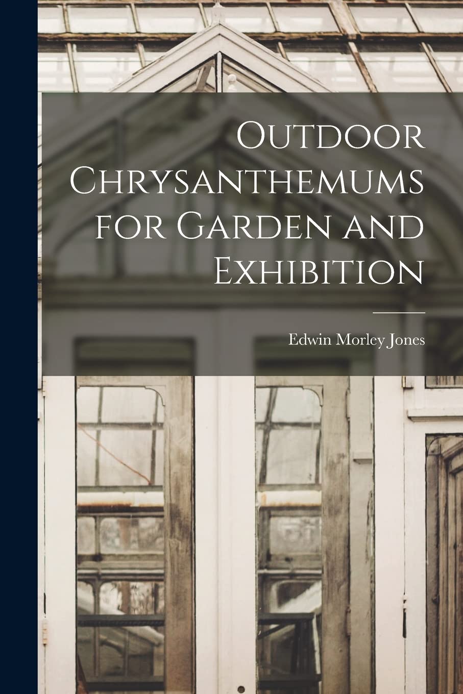 Outdoor Chrysanthemums for Garden and Exhibition Natural Sciences