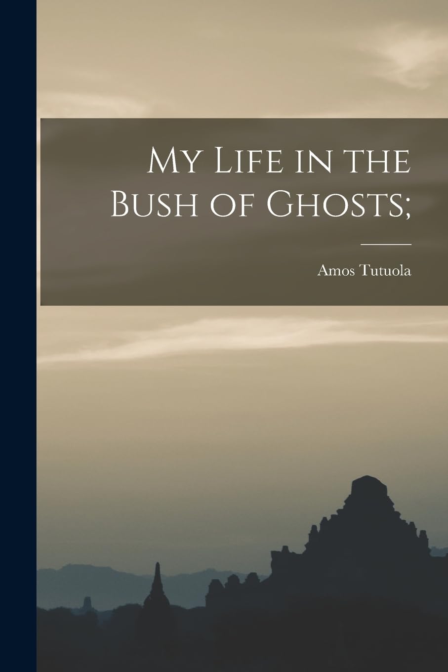 My Life in the Bush of Ghosts; book