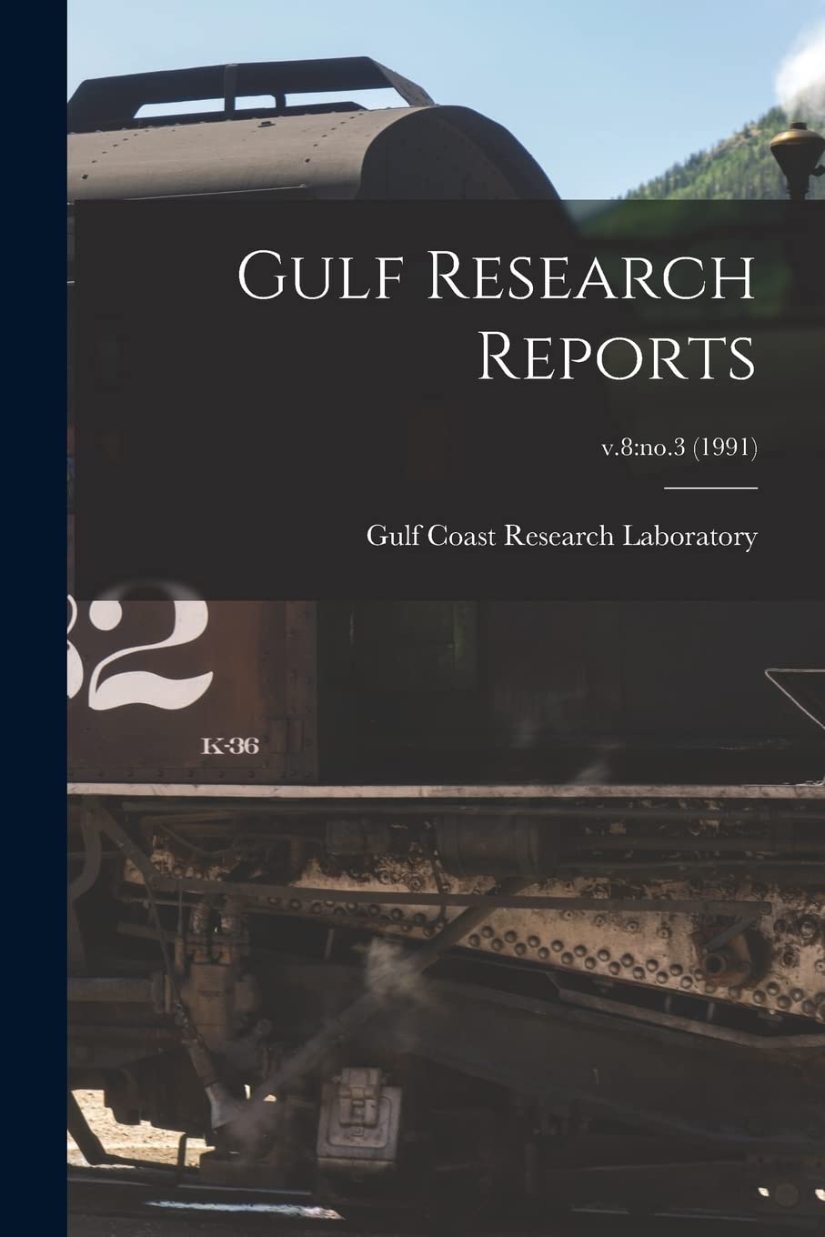 Gulf Research Reports; v.8: no.3 (1991) Business & Technology
