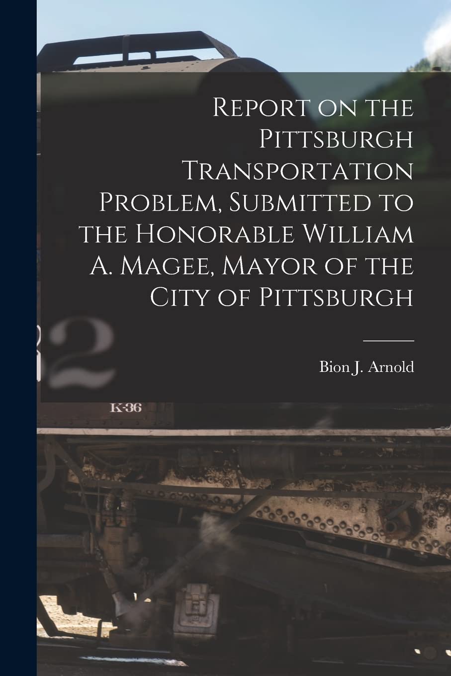 Report on the Pittsburgh Transportation Problem , Submitted to the Honorable William A. Magee, Mayor of the City of Pittsburgh Leisure, Home & Garden