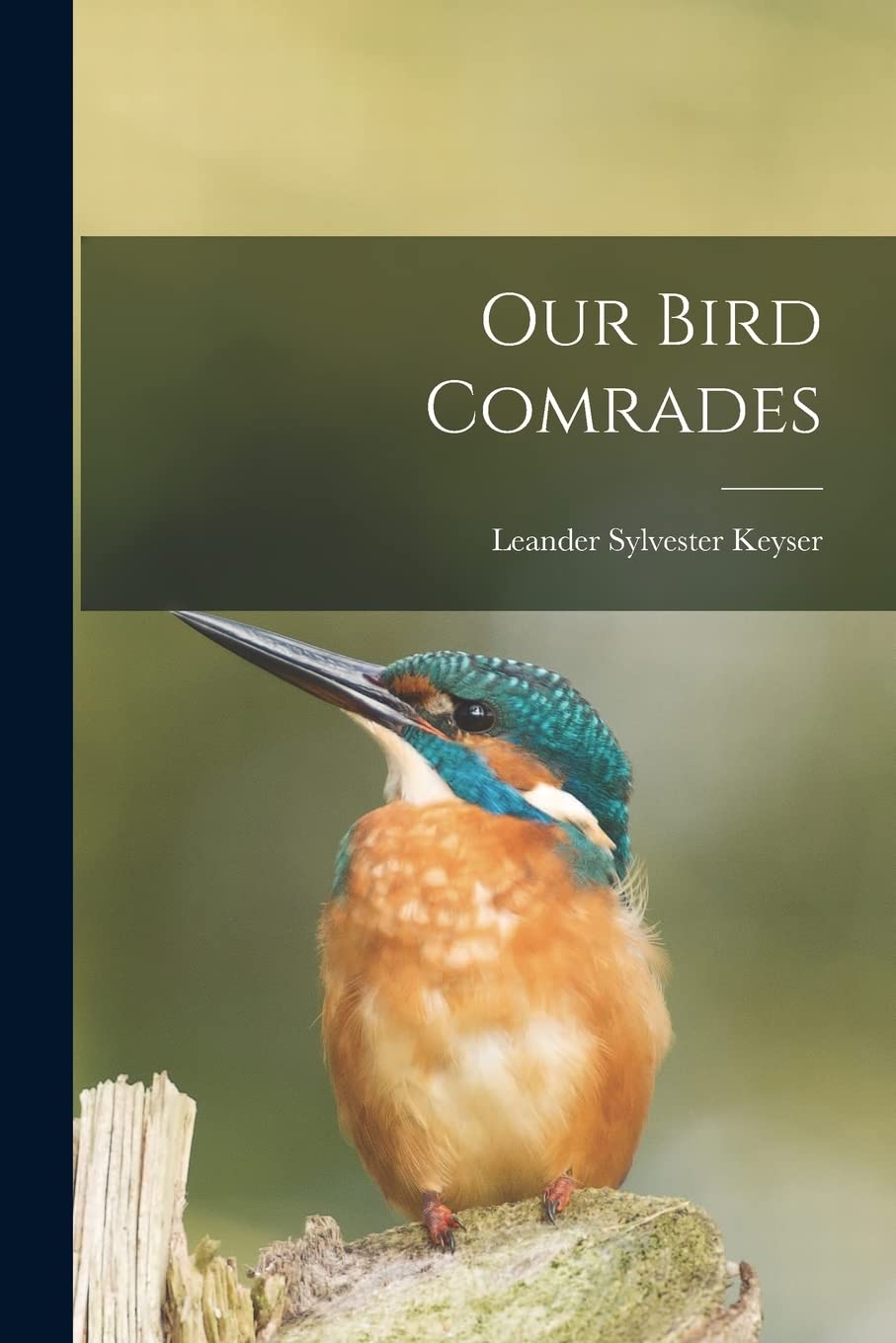 Product Image: Our Bird Comrades