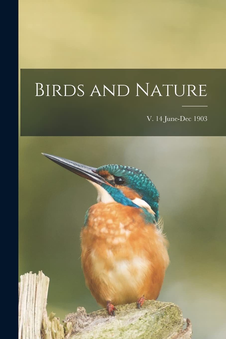 Product Image: Birds and Nature; v. 14 June-Dec 1903