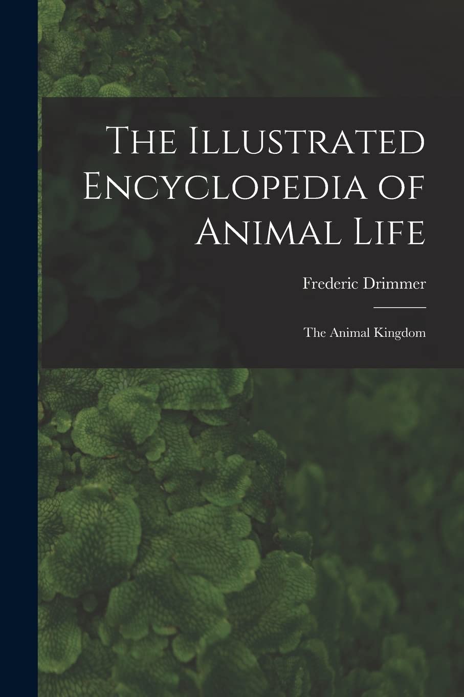 The Illustrated Encyclopedia of Animal Life: the Animal Kingdom Natural Sciences