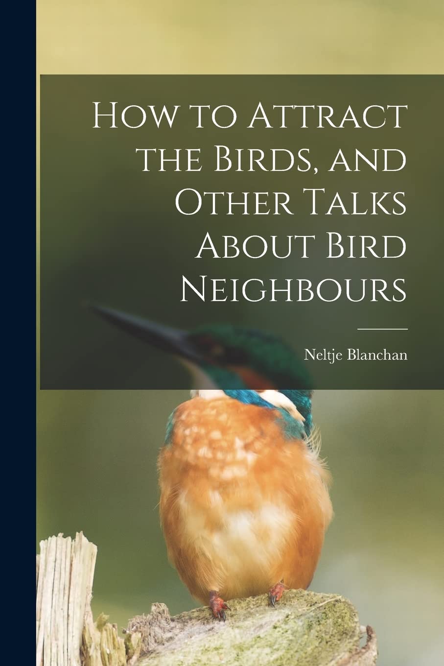 How to Attract the Birds, and Other Talks About Bird Neighbours Natural Sciences