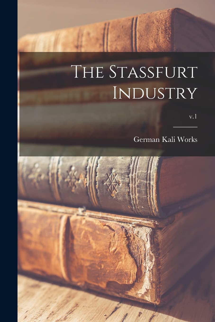 The Stassfurt Industry; v.1 Business, Finance & Career