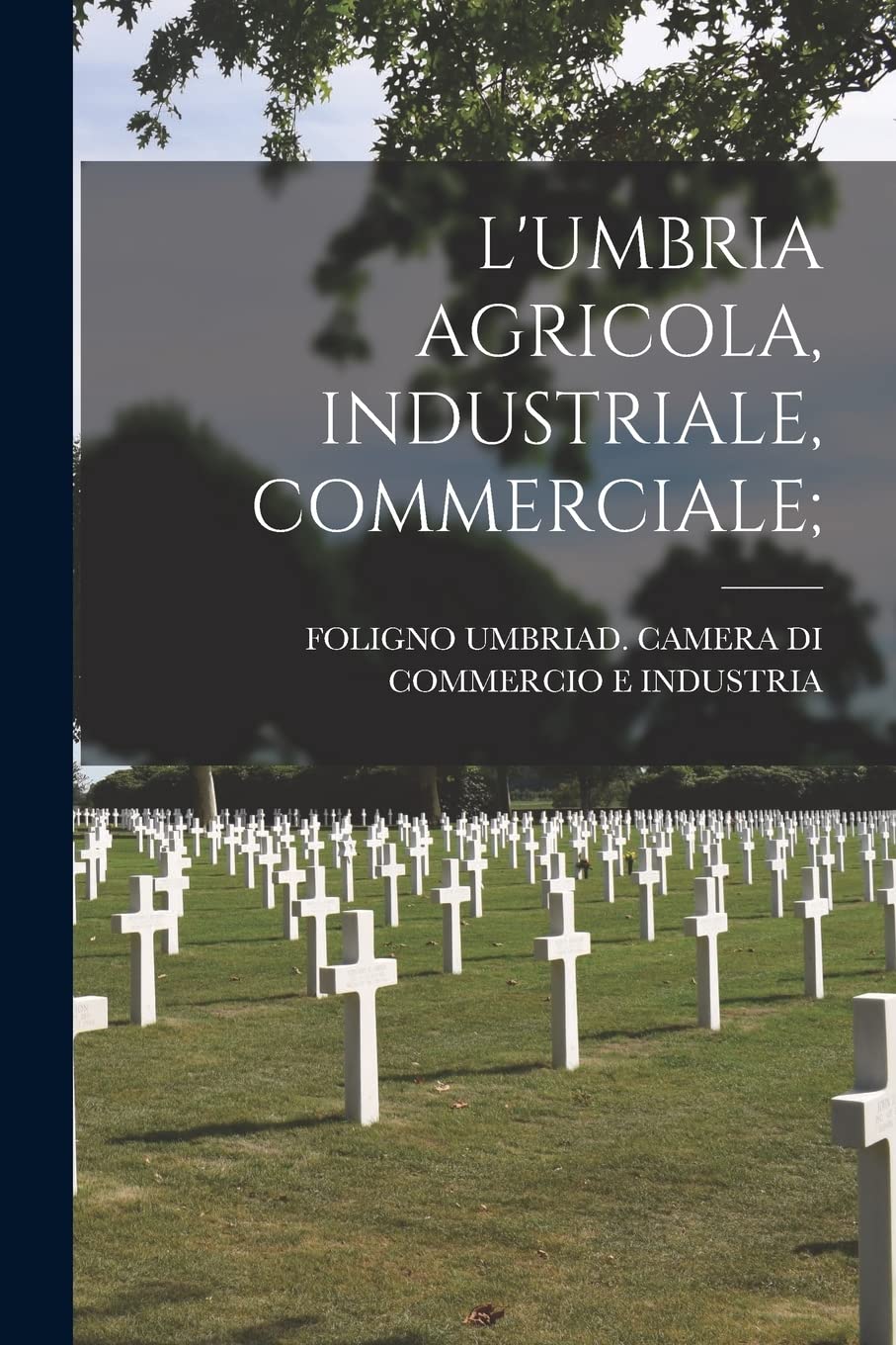 L'Umbria Agricola, Industriale, Commerciale; Business & Technology