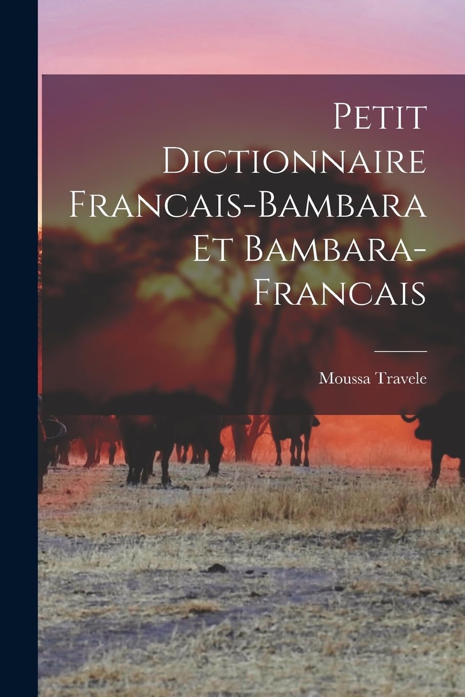 Petit Dictionnaire Francais-Bambara et Bambara-Francais Social Sciences