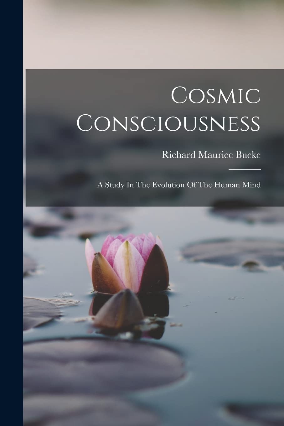 Cosmic Consciousness: A Study In The Evolution Of The Human Mind Contemporary literature