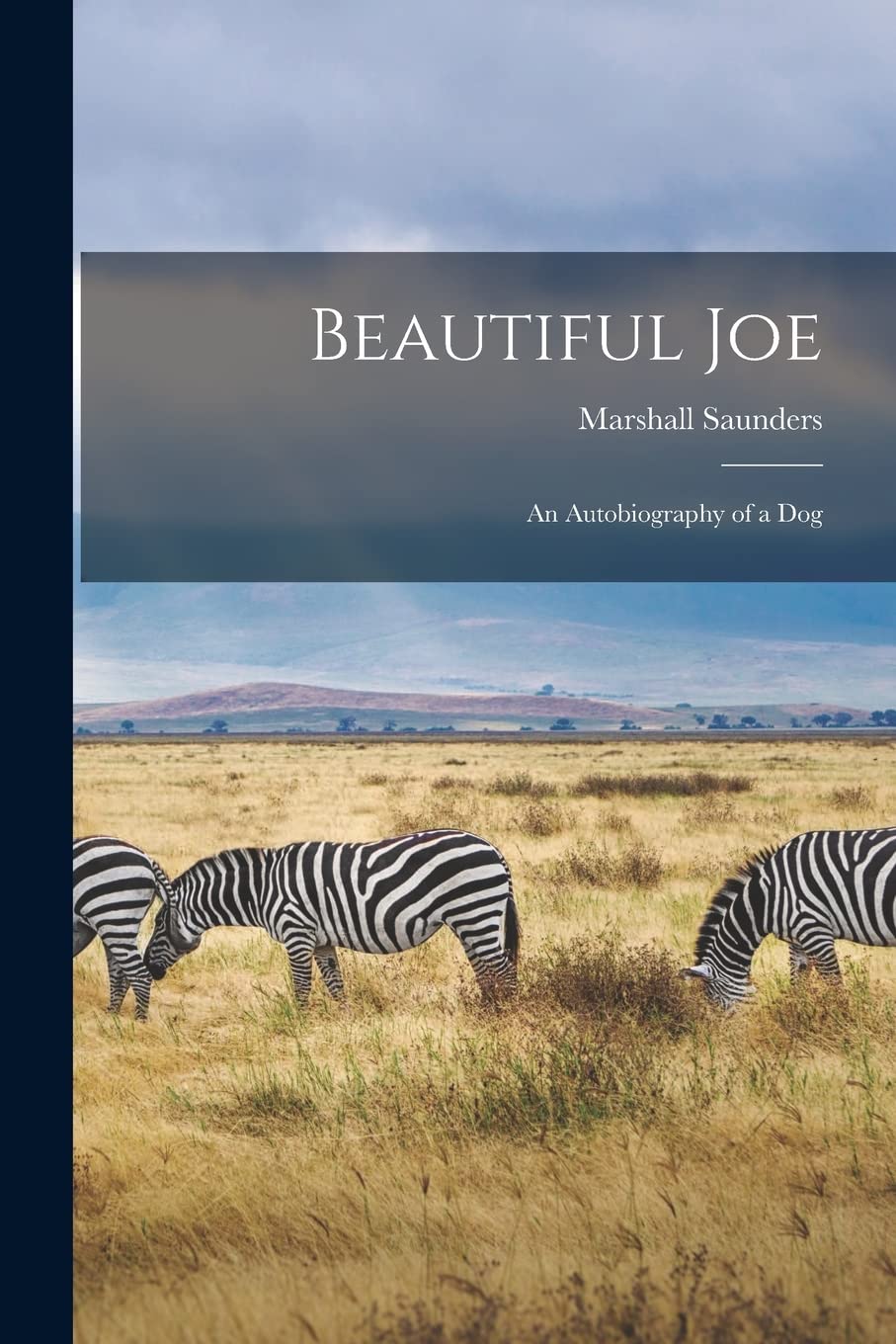 Beautiful Joe: An Autobiography of a Dog Mathematics