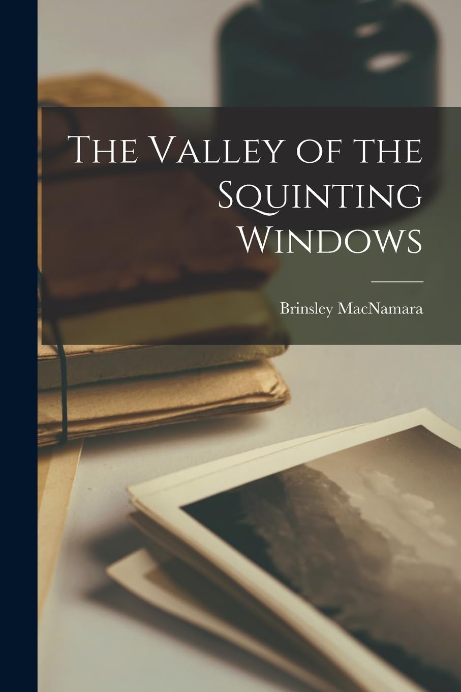 The Valley of the Squinting Windows Contemporary literature