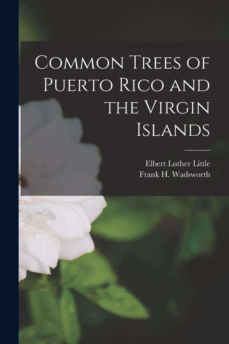 Common Trees of Puerto Rico and the Virgin Islands Natural Sciences