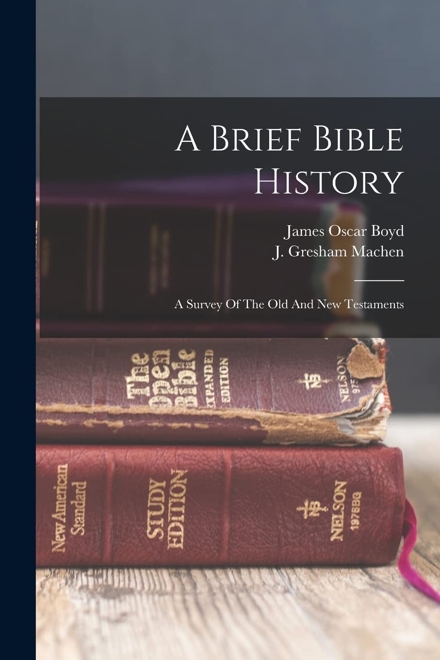 A Brief Bible History; A Survey Of The Old And New Testaments book