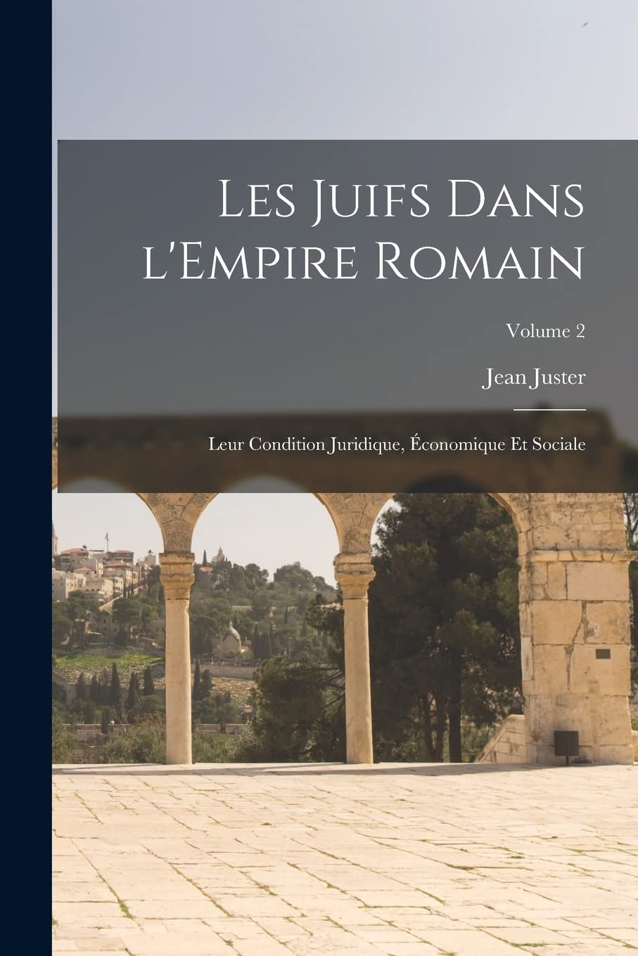Les Juifs dans l'Empire romain: Leur condition juridique, économique et sociale; Volume 2 book