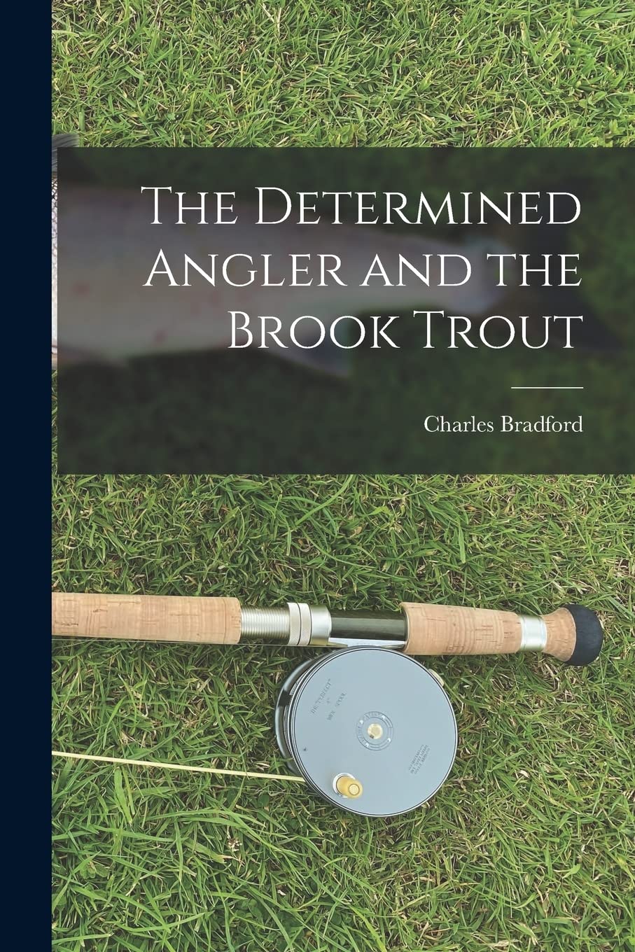 The Determined Angler and the Brook Trout Natural Sciences