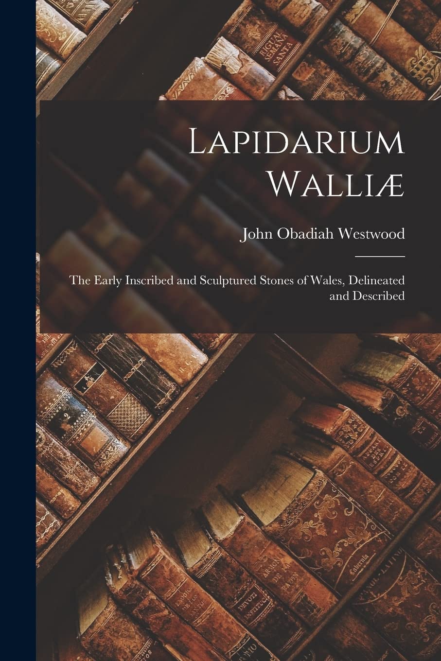 Lapidarium Walliæ: The Early Inscribed and Sculptured Stones of Wales, Delineated and Described Contemporary literature