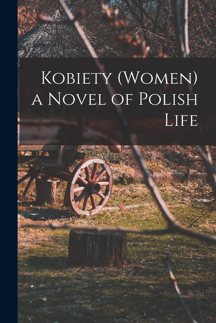 Kobiety (Women) a Novel of Polish Life Foreign Languages ​​& Dictionaries