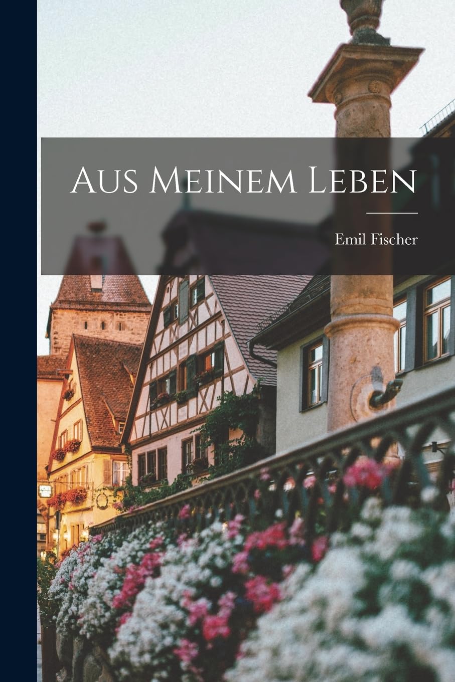 Aus Meinem Leben Politics & Society