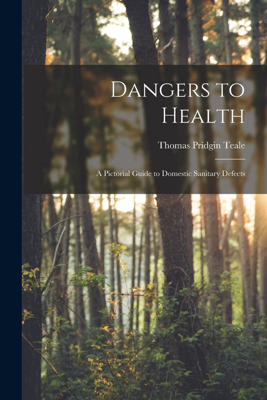 Dangers to Health: A Pictorial Guide to Domestic Sanitary Defects Medicine