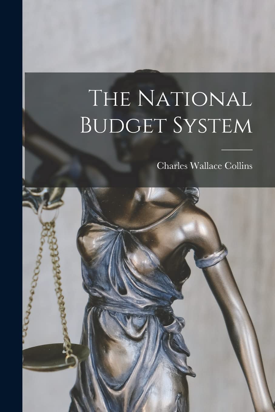 Product Image: The National Budget System