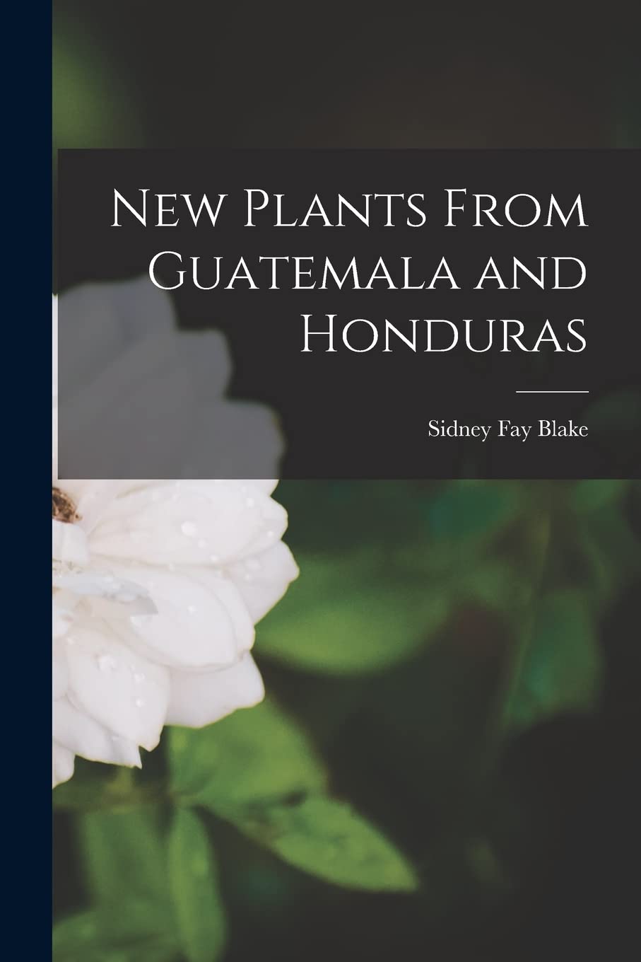 New Plants From Guatemala and Honduras Mathematics