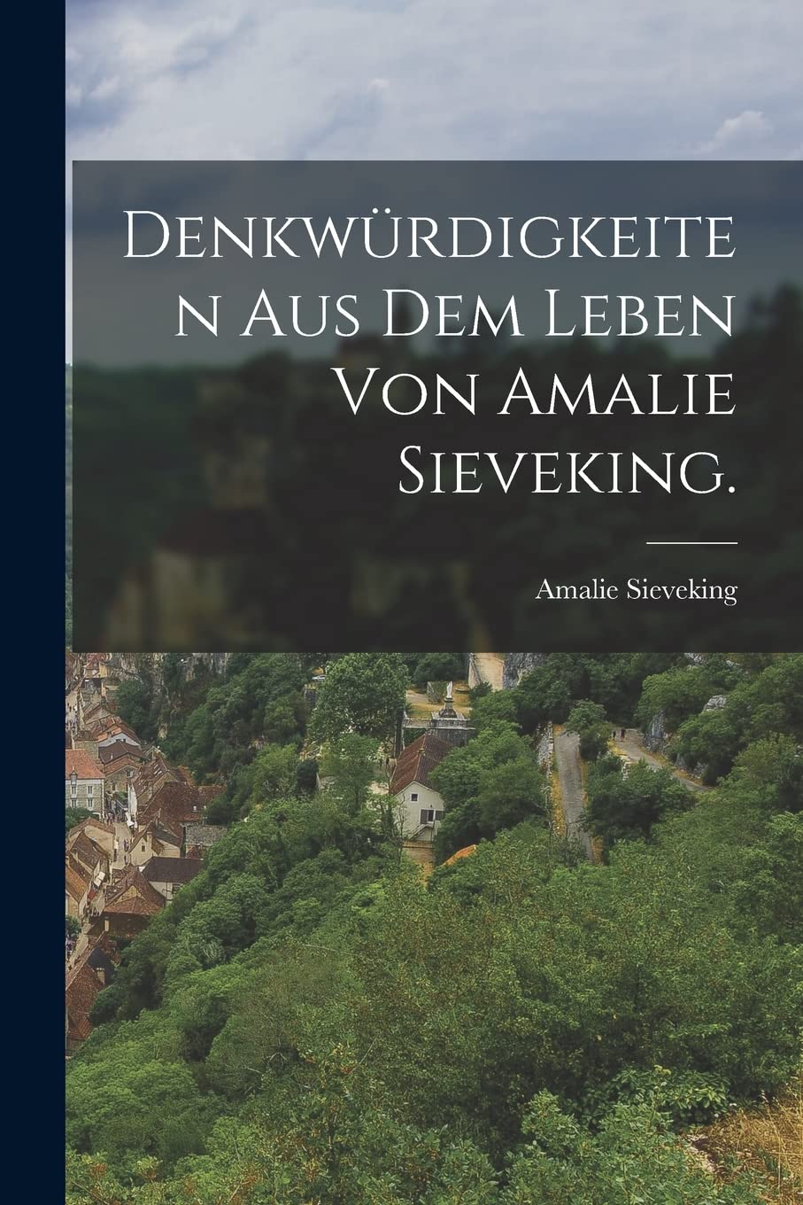 Denkwürdigkeiten aus dem Leben von Amalie Sieveking. Politics & History