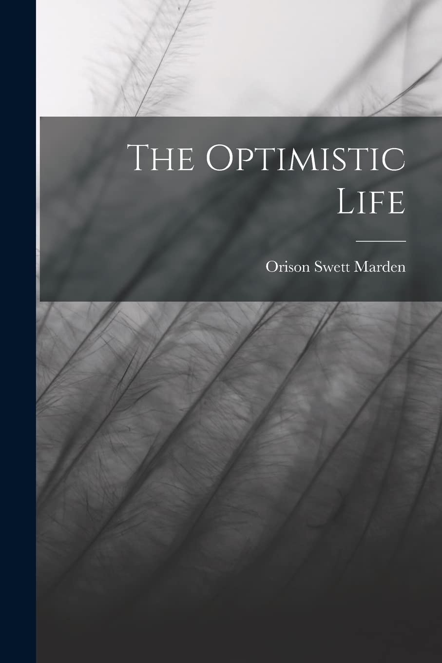 Product Image: The Optimistic Life