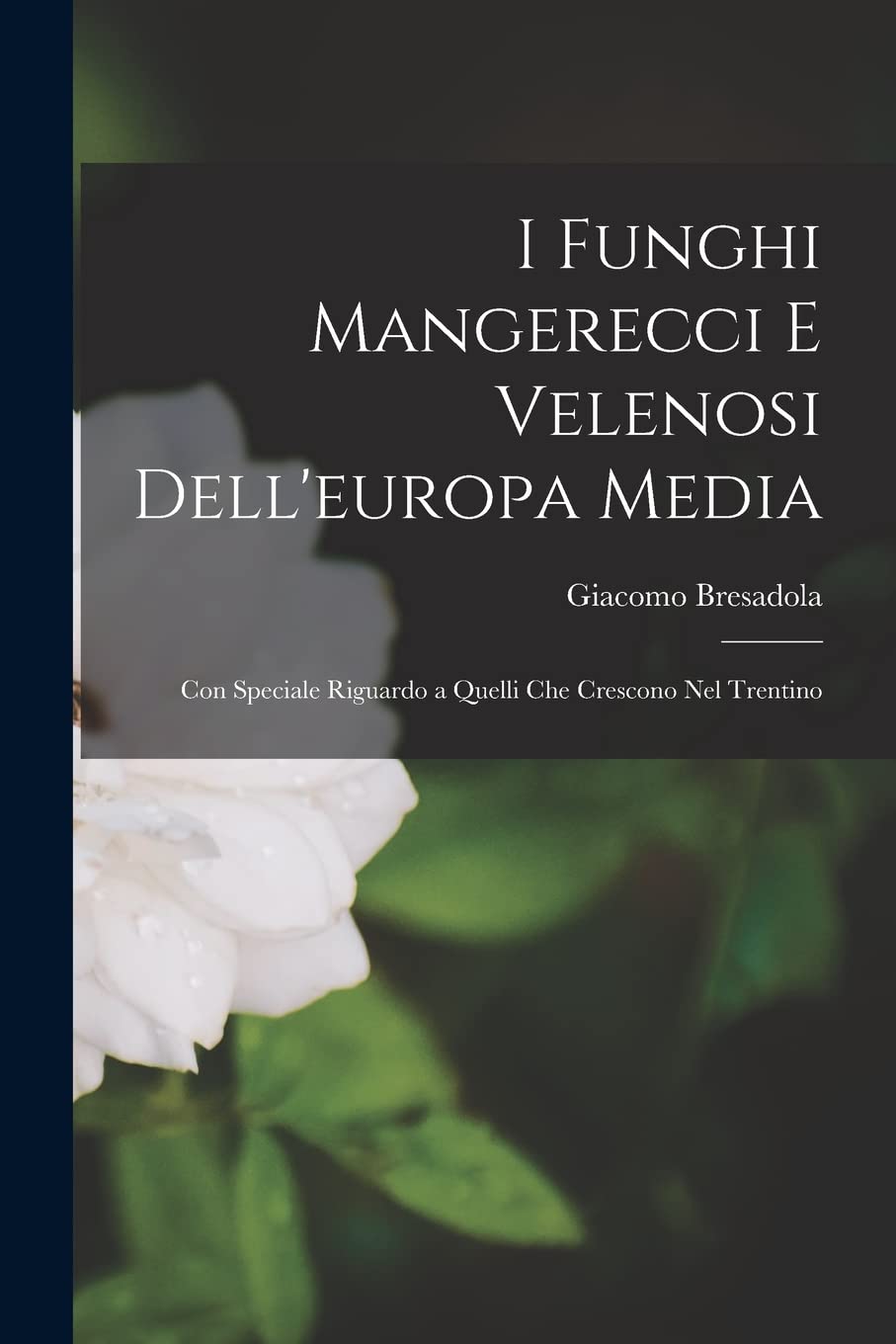 I Funghi Mangerecci E Velenosi Dell'europa Media: Con Speciale Riguardo a Quelli Che Crescono Nel Trentino Books