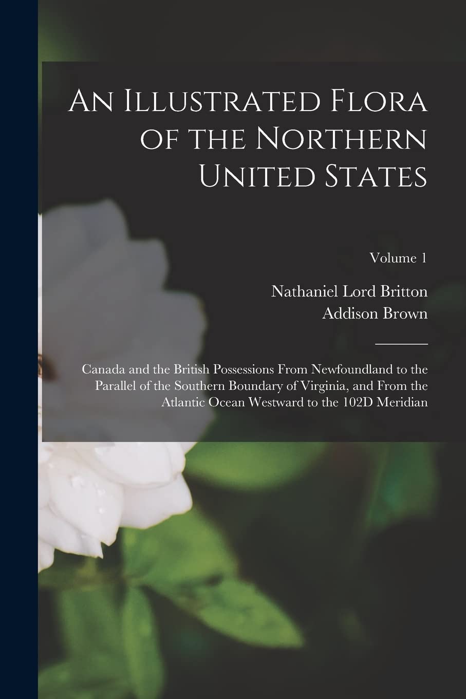 An Illustrated Flora of the Northern United States: Canada and the British Possessions From Newfoundland to the Parallel of the Southern Boundary of ... Ocean Westward to the 102D Meridian; Volume 1 Natural Sciences