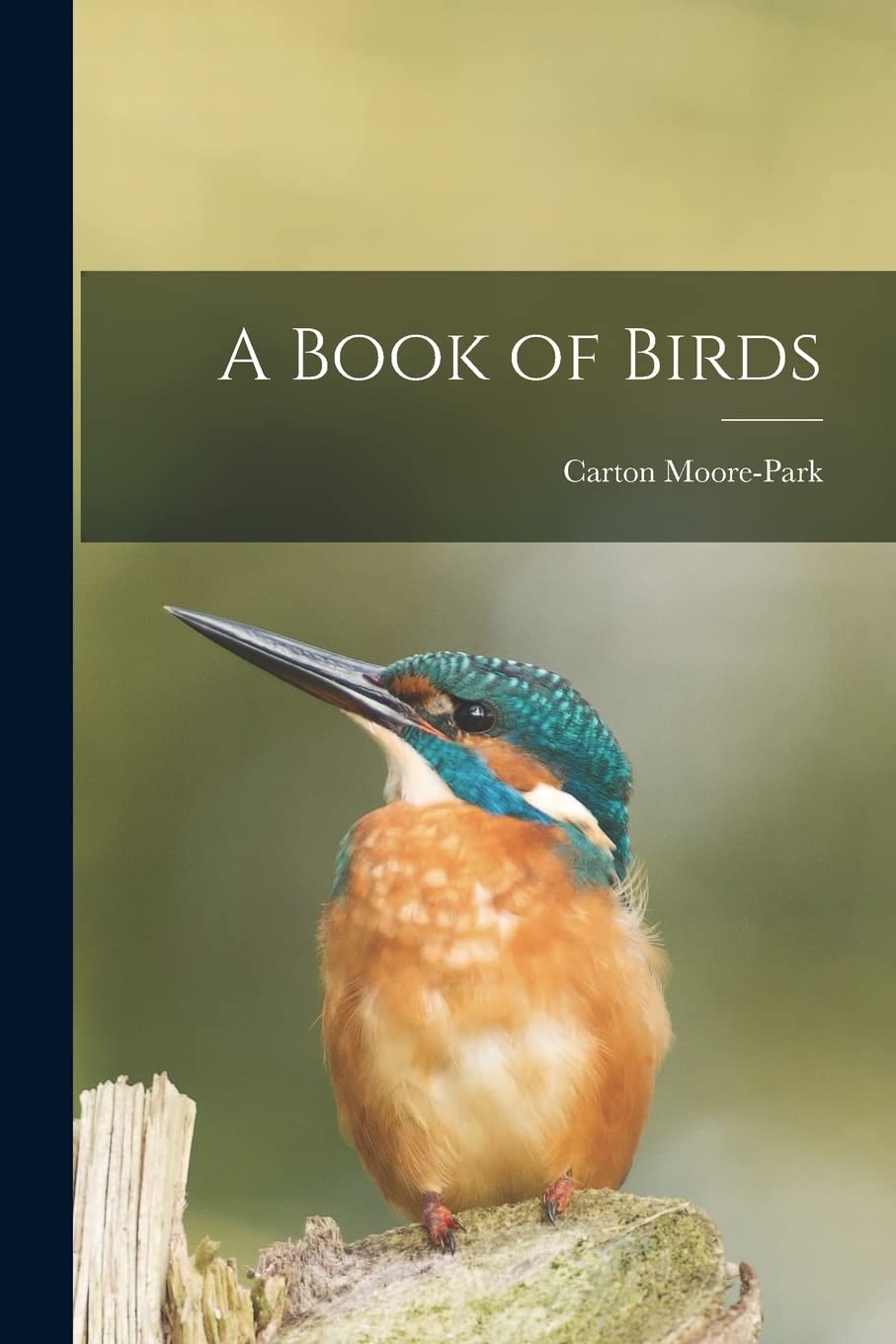 A Book of Birds book