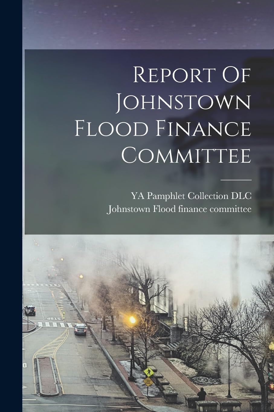 Report Of Johnstown Flood Finance Committee book