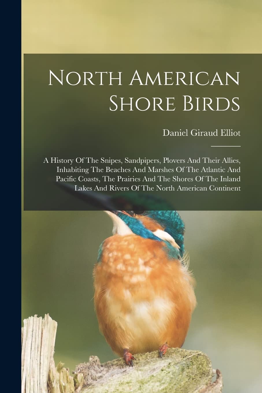North American Shore Birds; A History Of The Snipes, Sandpipers, Plovers And Their Allies, Inhabiting The Beaches And Marshes Of The Atlantic And ... And Rivers Of The North American Continent Natural Sciences