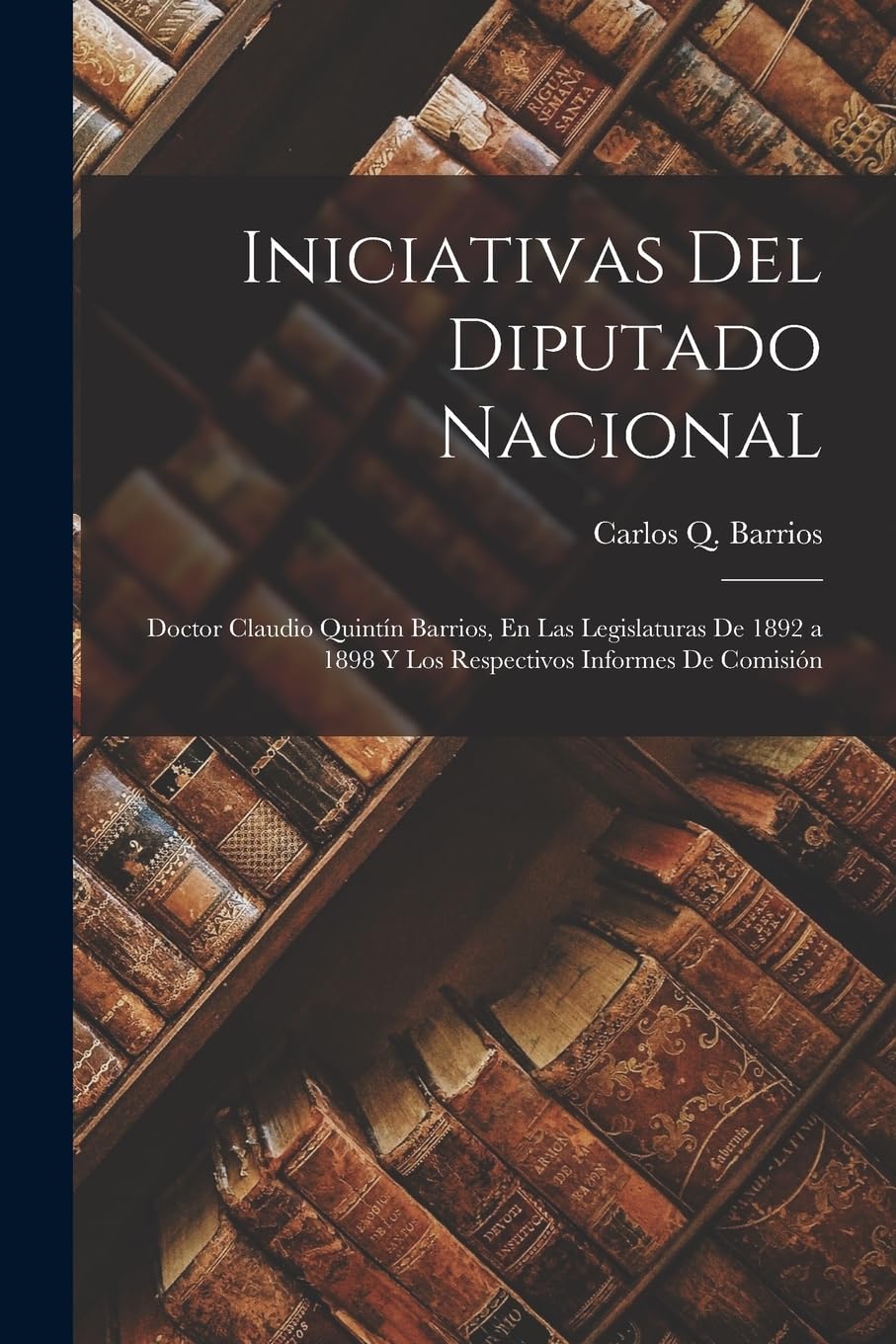 Iniciativas Del Diputado Nacional Social Sciences