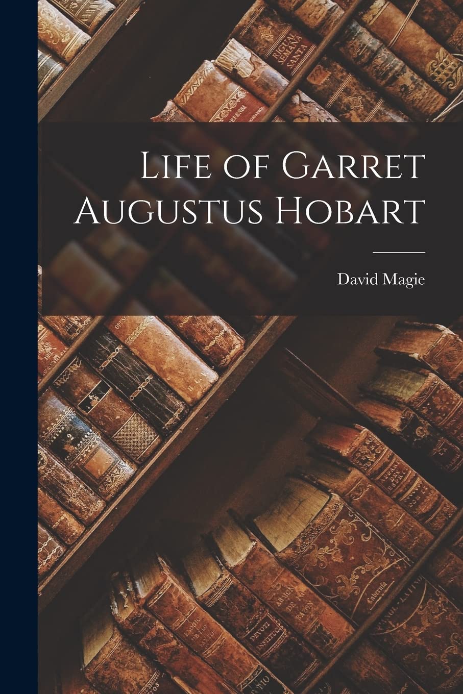Life of Garret Augustus Hobart Contemporary literature