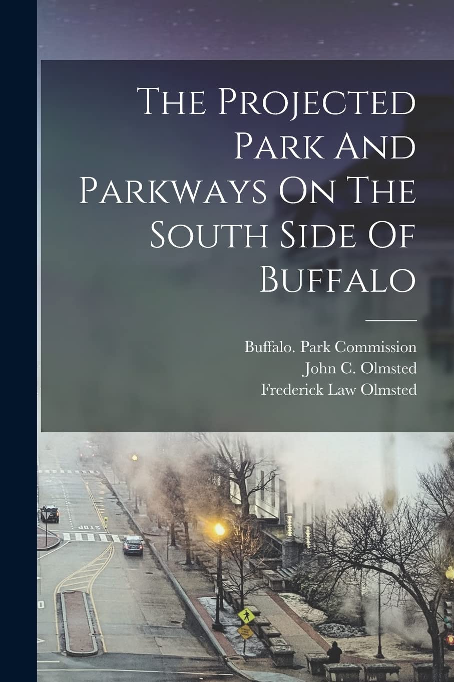 The Projected Park And Parkways On The South Side Of Buffalo Natural Sciences