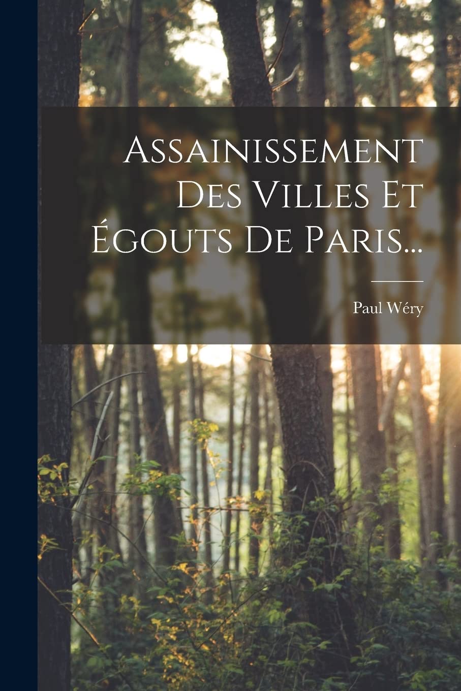 Assainissement Des Villes Et Égouts De Paris... Business & Technology